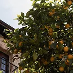 Kır Evi Dona Anita *