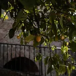 Kır Evi Dona Anita Montánchez