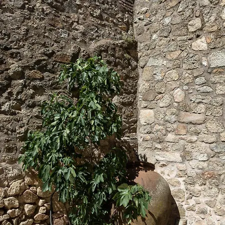 Dona Anita Country house *