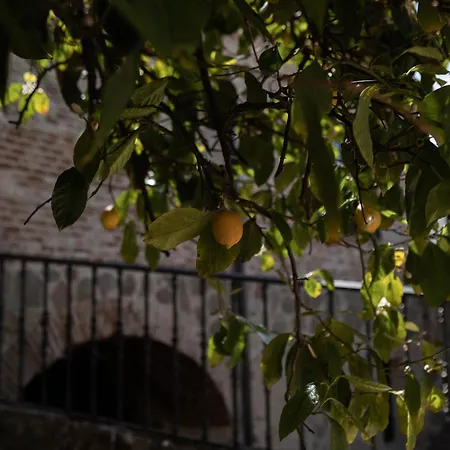 Country house Dona Anita Montanchez