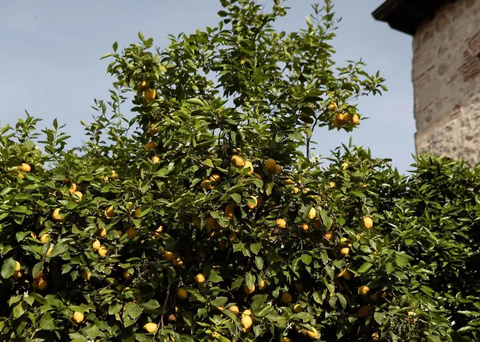 Dona Anita * Montánchez