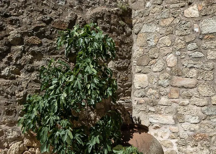 Doña Anita Casa rural *