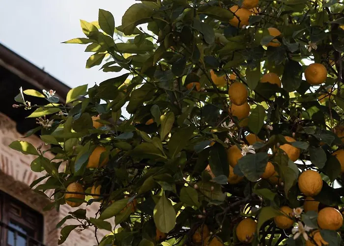 Landhuis Dona Anita *